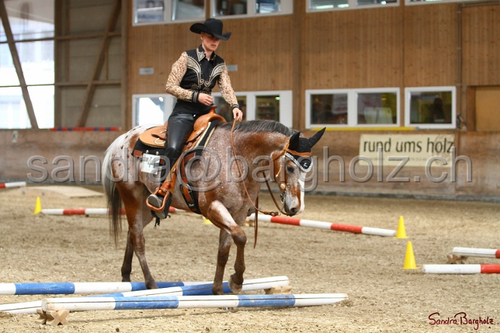28-ApHC OT_223.jpg